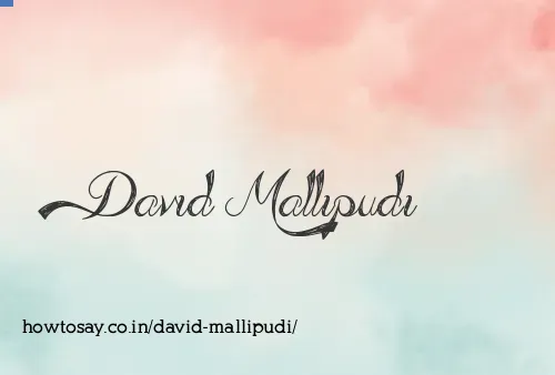 David Mallipudi
