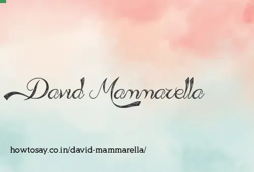 David Mammarella