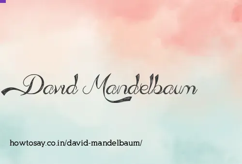 David Mandelbaum