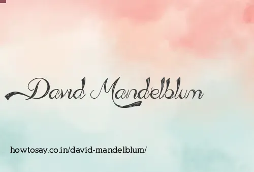 David Mandelblum