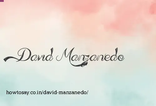 David Manzanedo