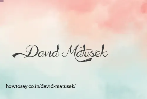 David Matusek