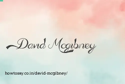 David Mcgibney
