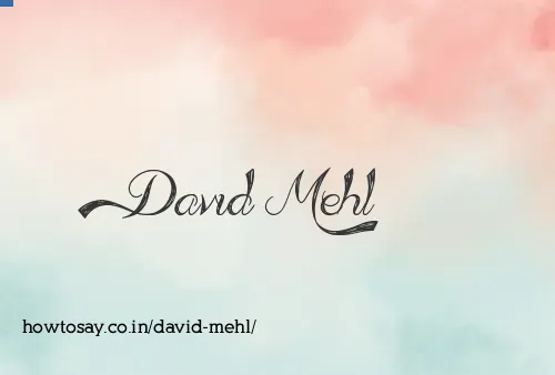 David Mehl