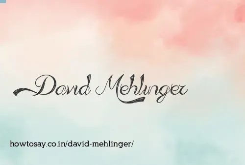 David Mehlinger