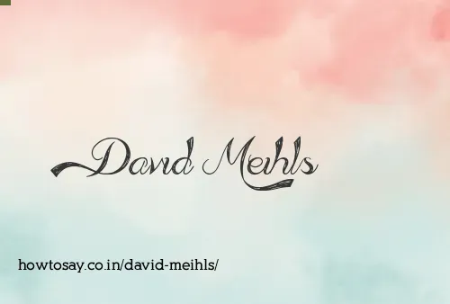 David Meihls