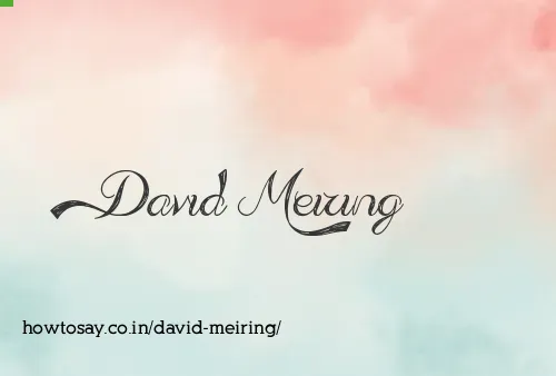 David Meiring