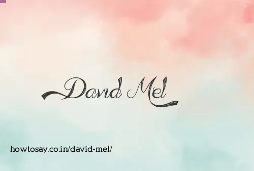 David Mel