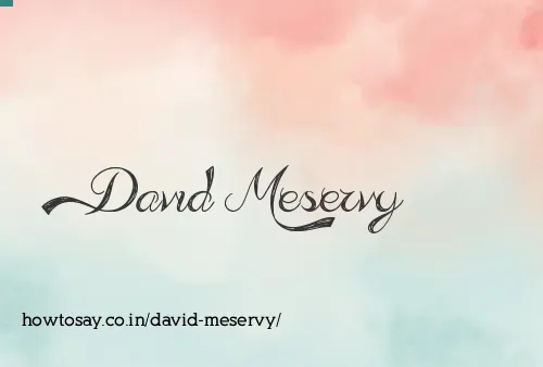 David Meservy