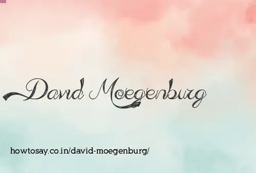 David Moegenburg