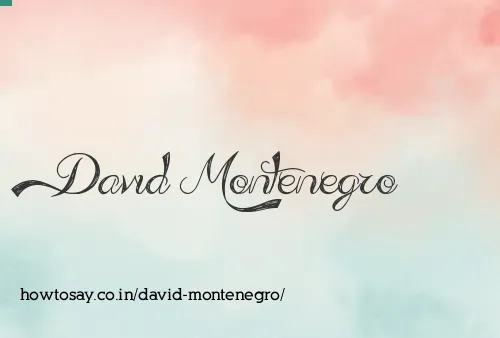 David Montenegro