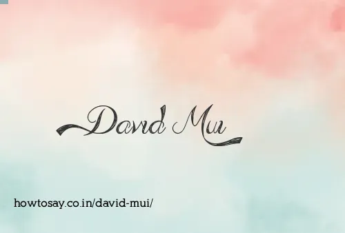 David Mui