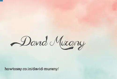 David Murany