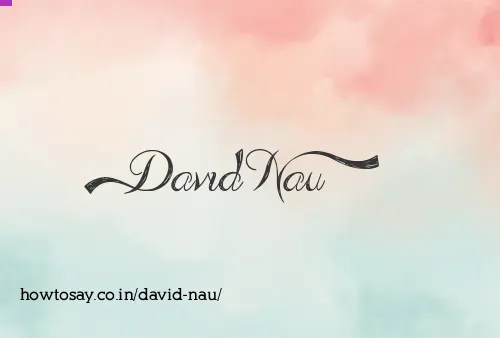David Nau
