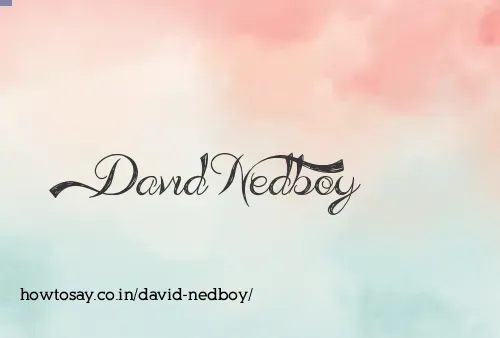 David Nedboy