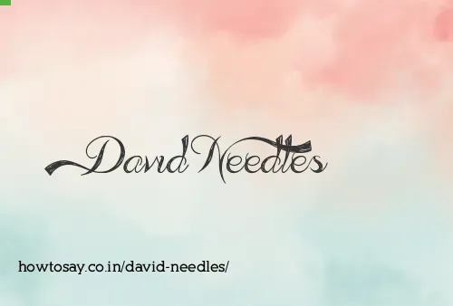 David Needles