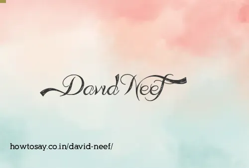 David Neef