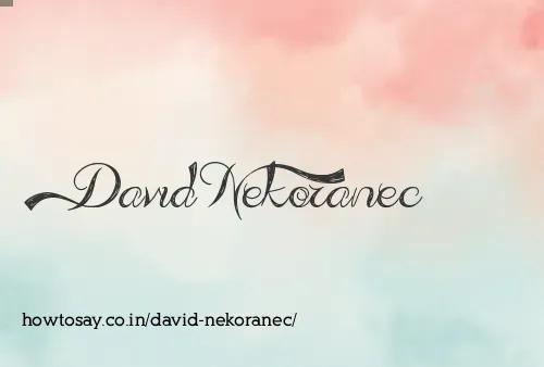 David Nekoranec