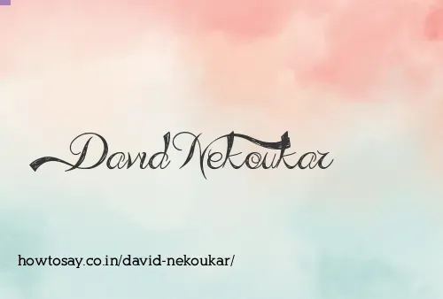 David Nekoukar