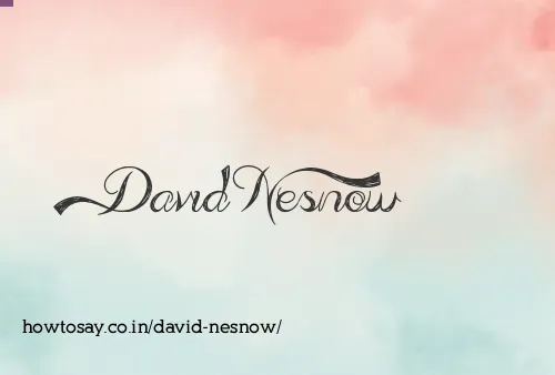 David Nesnow