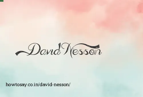 David Nesson