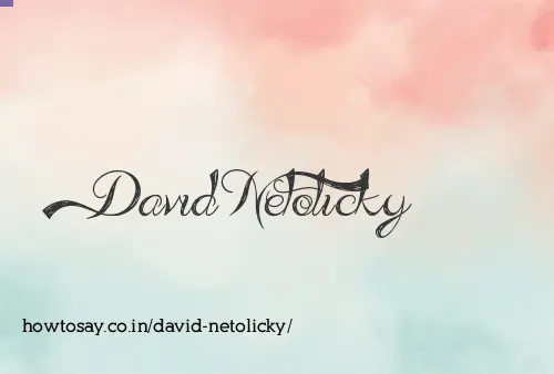 David Netolicky