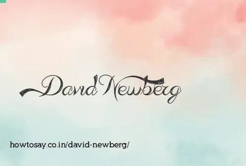 David Newberg