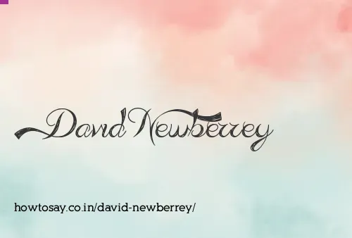 David Newberrey