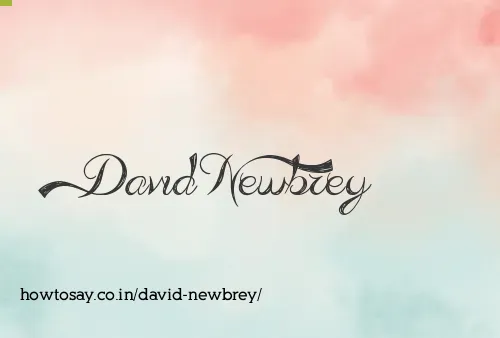 David Newbrey