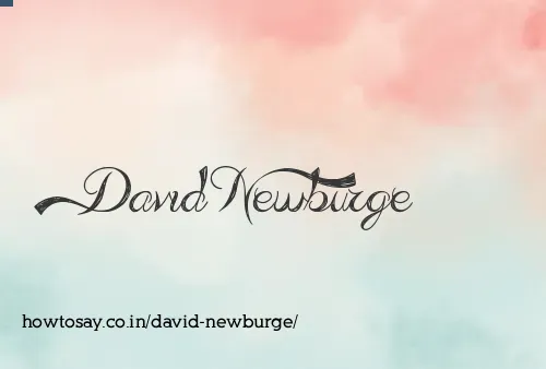 David Newburge