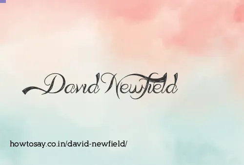 David Newfield
