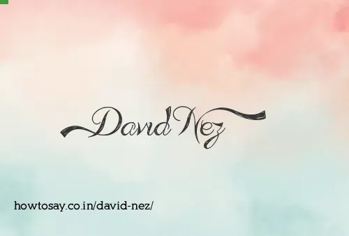 David Nez