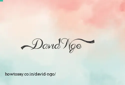 David Ngo
