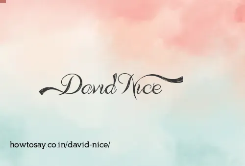 David Nice