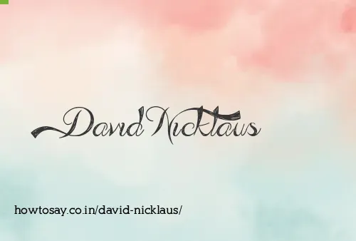 David Nicklaus