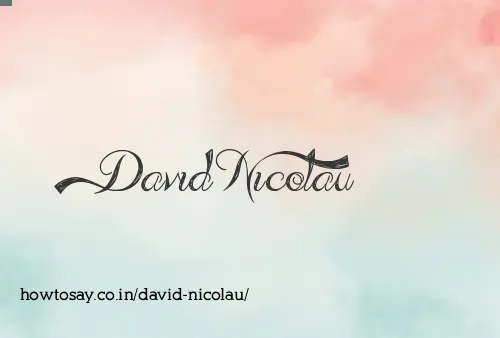 David Nicolau