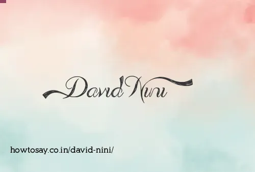 David Nini
