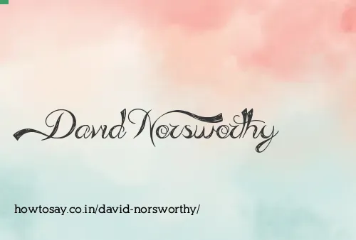 David Norsworthy