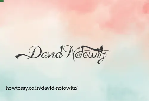 David Notowitz