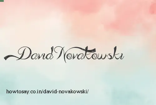 David Novakowski
