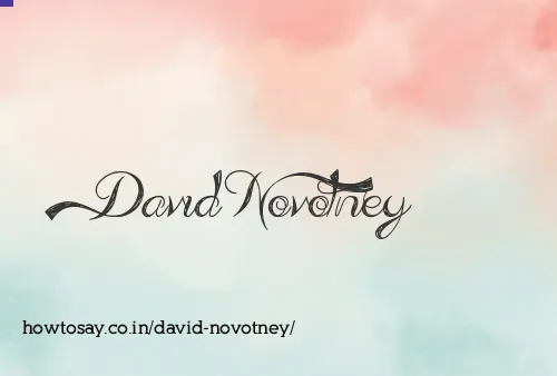 David Novotney