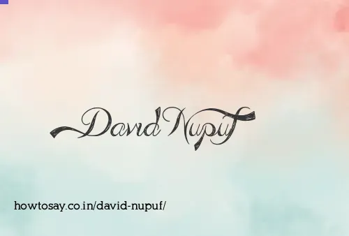 David Nupuf