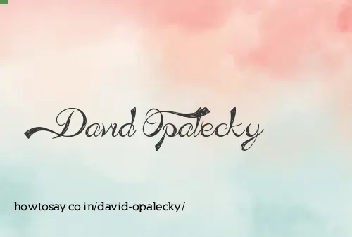 David Opalecky