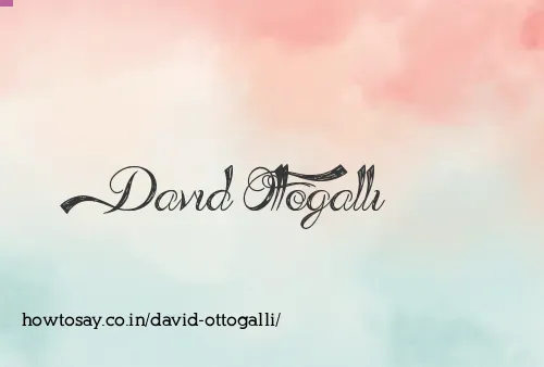 David Ottogalli