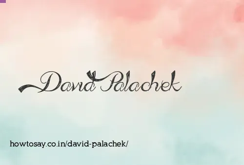 David Palachek