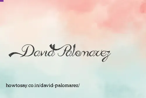David Palomarez