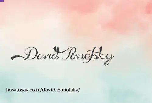 David Panofsky