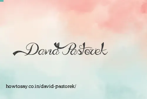 David Pastorek