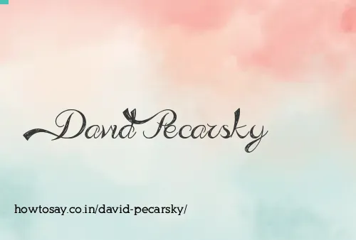 David Pecarsky