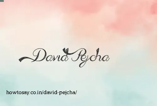 David Pejcha